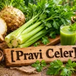 Pravi Celer